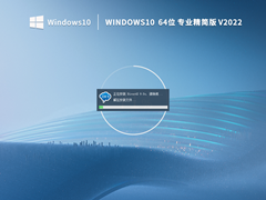 Windows10 64位专业精简版 V2022