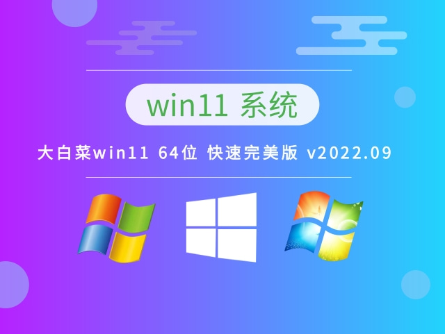 大白菜win11 64位 快速完美版 v2022.09